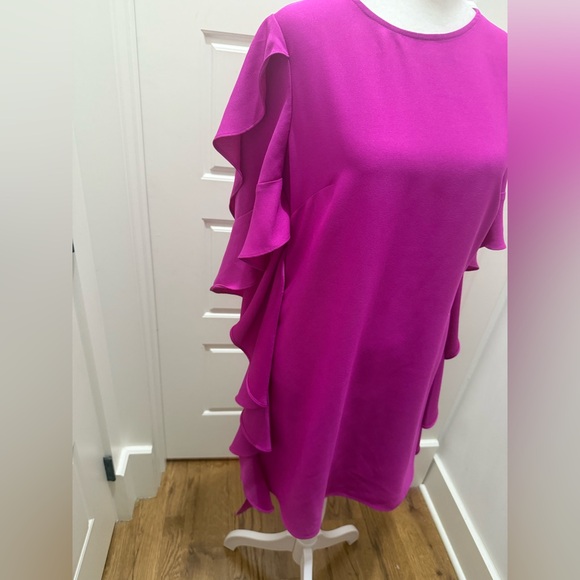 Nicole Miller. Vibrant Ruffle Side Dress. Fuscia. Size 2. - Picture 3 of 8